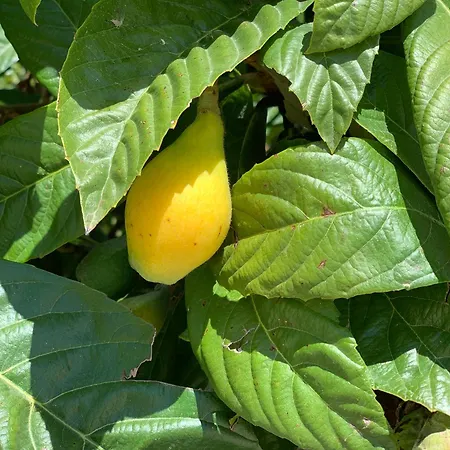 Agroturismo I Mori Cingoli