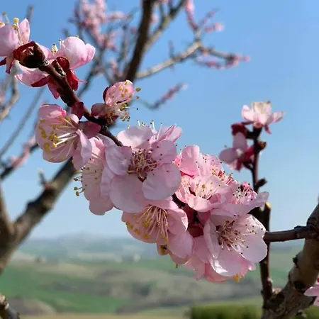 Farm stay I Mori Cervidone